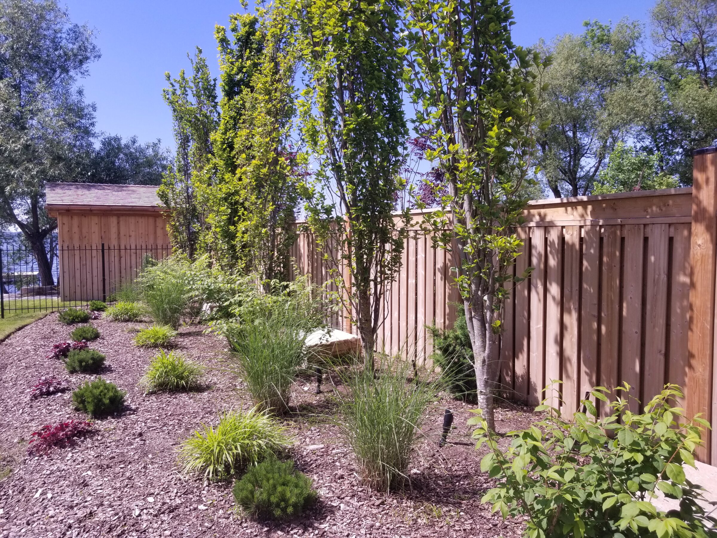 A garden with wooden fencing, young trees, and shrubs, set against a clear blue sky. No recognizable landmarks or historical buildings present.
