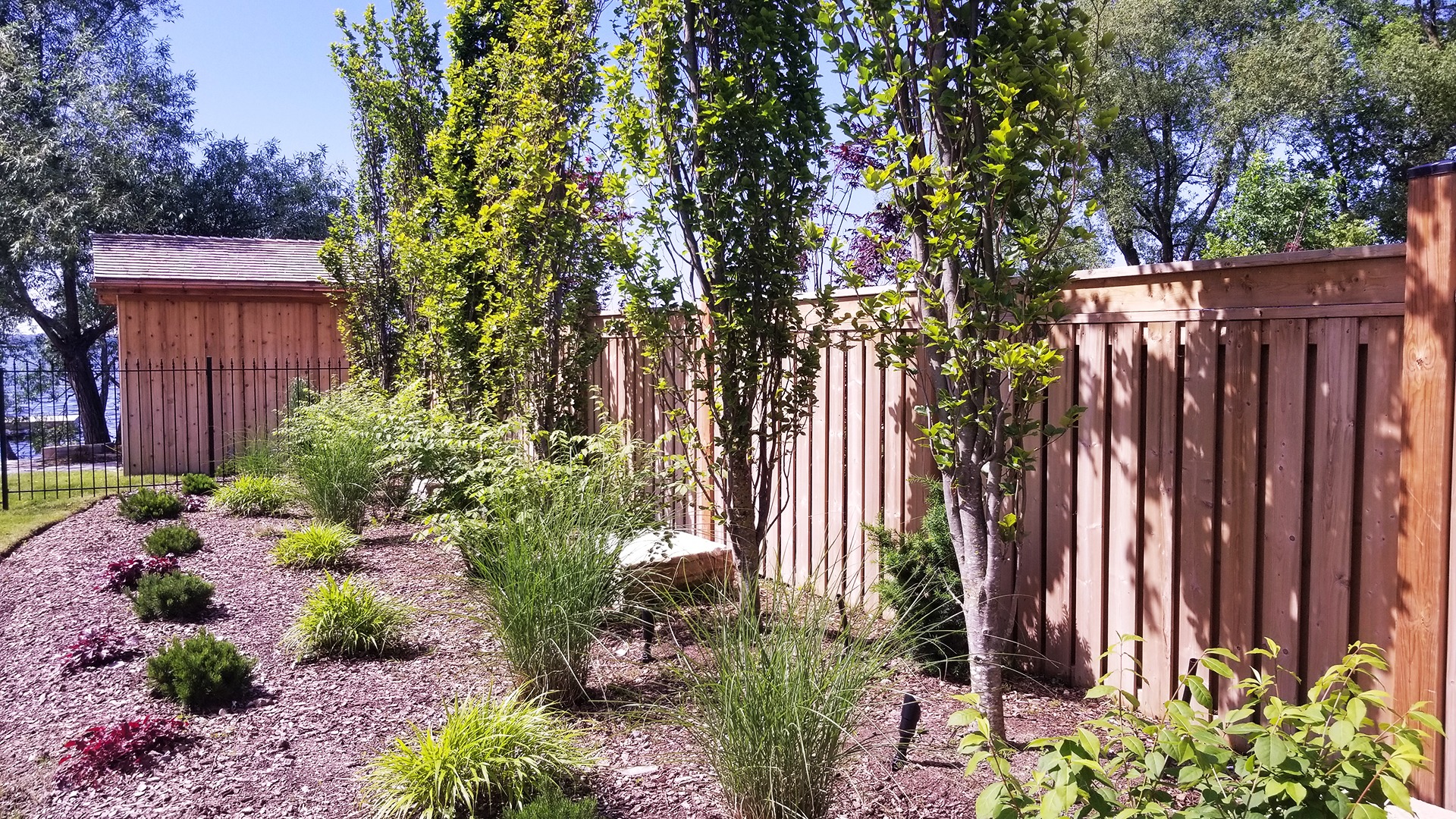 A well-manicured garden with trees and shrubs lines a wooden and metal fence. Sunny day, building and lake visible in background.