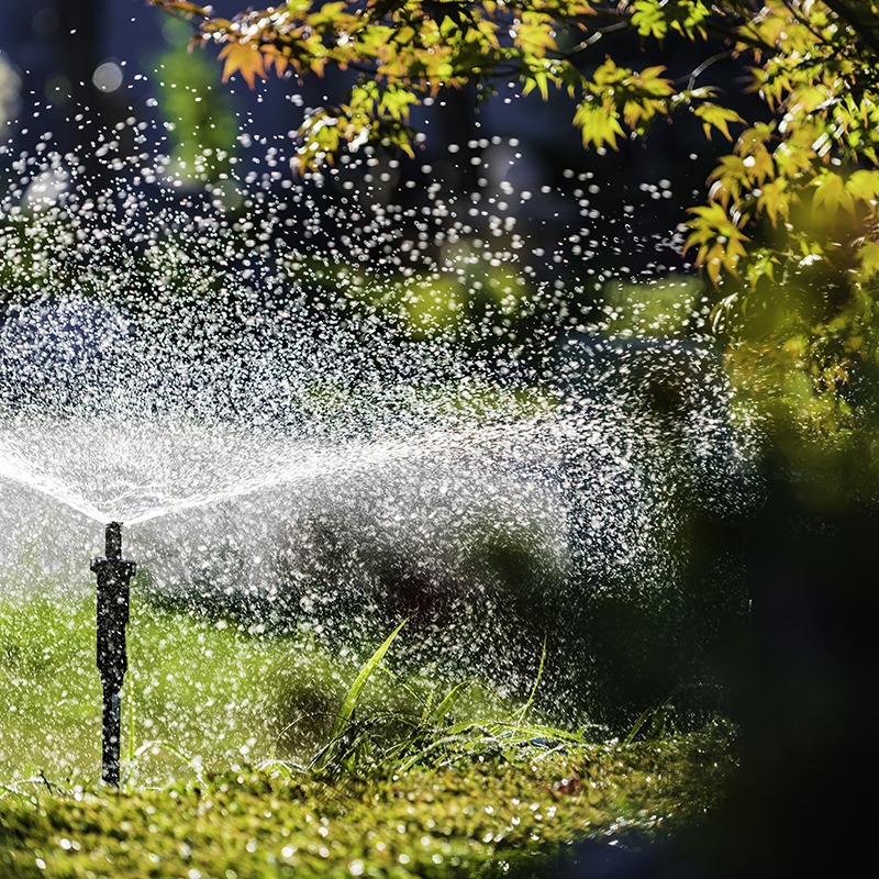 A lawn sprinkler sprays water droplets in a garden, surrounded by vibrant green leaves and grass, creating a refreshing outdoor scene.