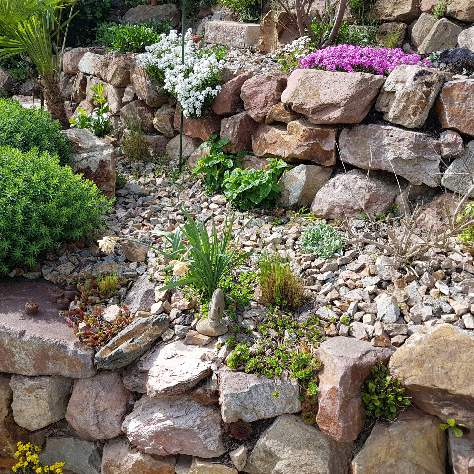 Rock garden with various plants, including succulents and flowers, arranged on a stone wall. Lush greenery surrounds the area.