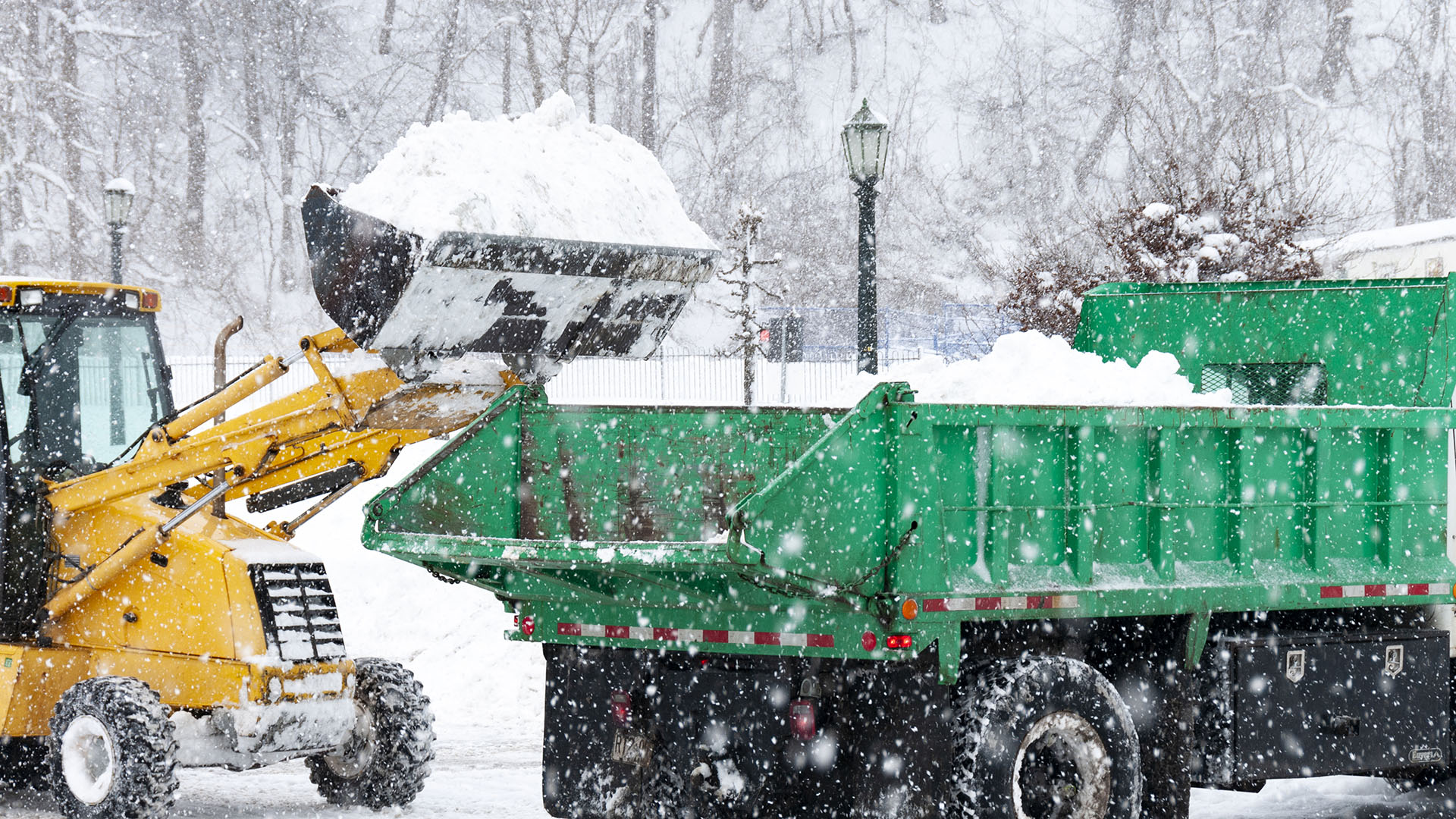 A yellow loader transfers snow into a green truck amid heavy snowfall, with trees and lampposts visible in the wintry background.
