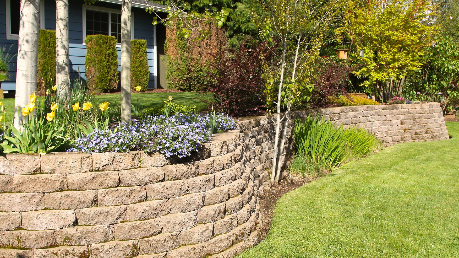 Curved stone retaining wall with blooming flowers and trees, set against a well-kept lawn and a blue house in the background.