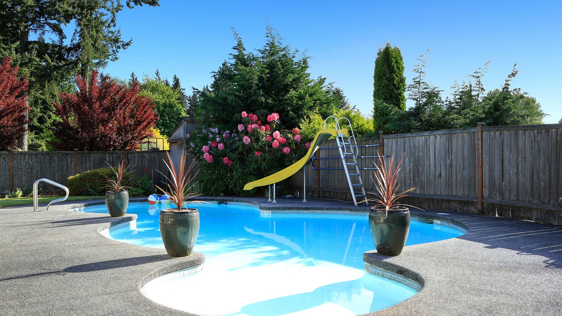 A pool in a backyard on a clear, sunny day with potted plants in the foreground.